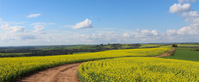 Тестовая зона «Пансионат в Подмосковье»